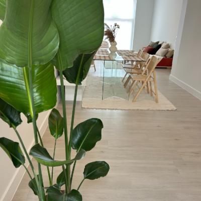 Huis te koop in Izegem