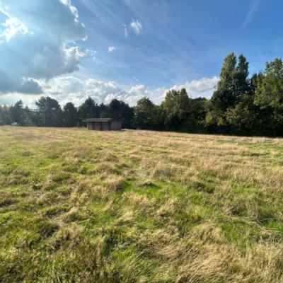 Commercial property for sale in Deinze