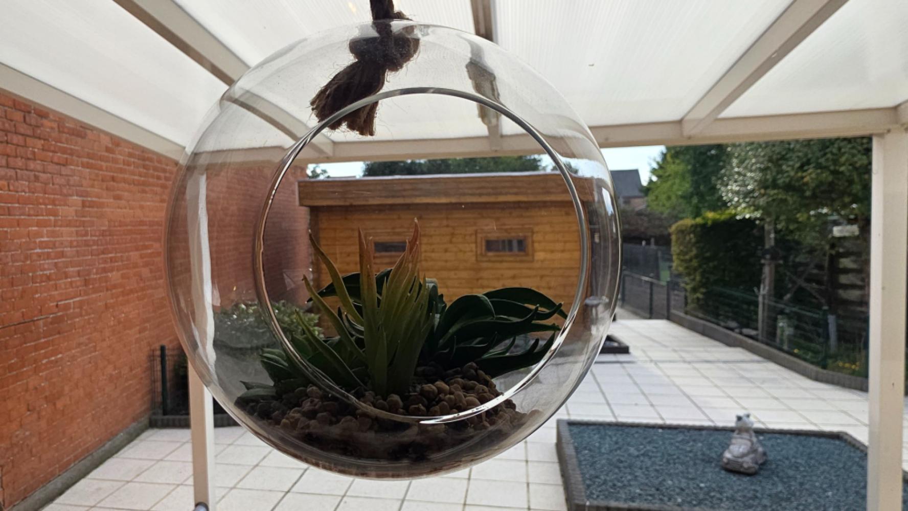 Maison à vendre à Buggenhout