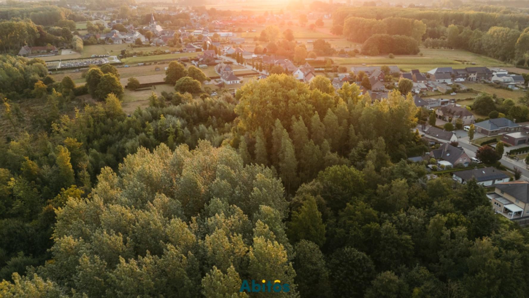 Forêt à vendre à Sint-Lievens-Houtem