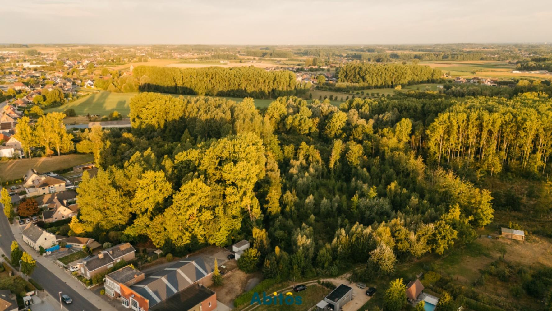 Forêt à vendre à Sint-Lievens-Houtem