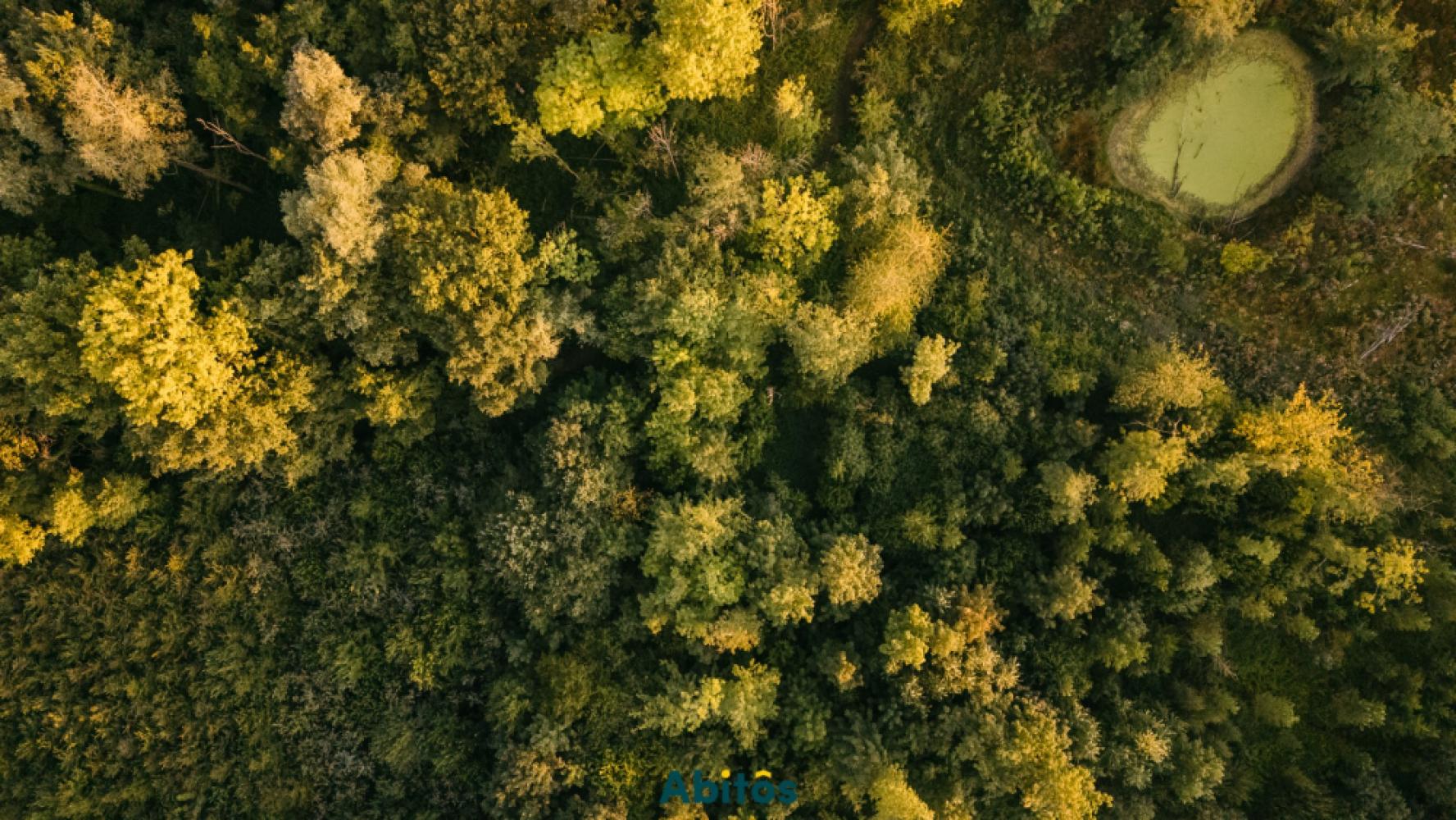 Forêt à vendre à Sint-Lievens-Houtem