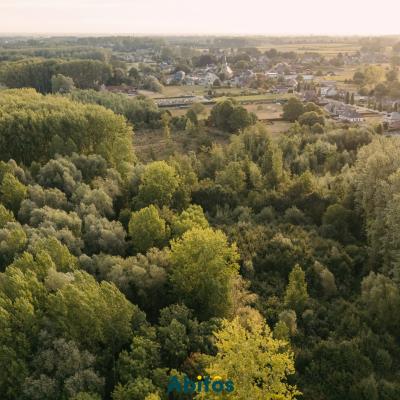 Forêt à vendre à Sint-Lievens-Houtem