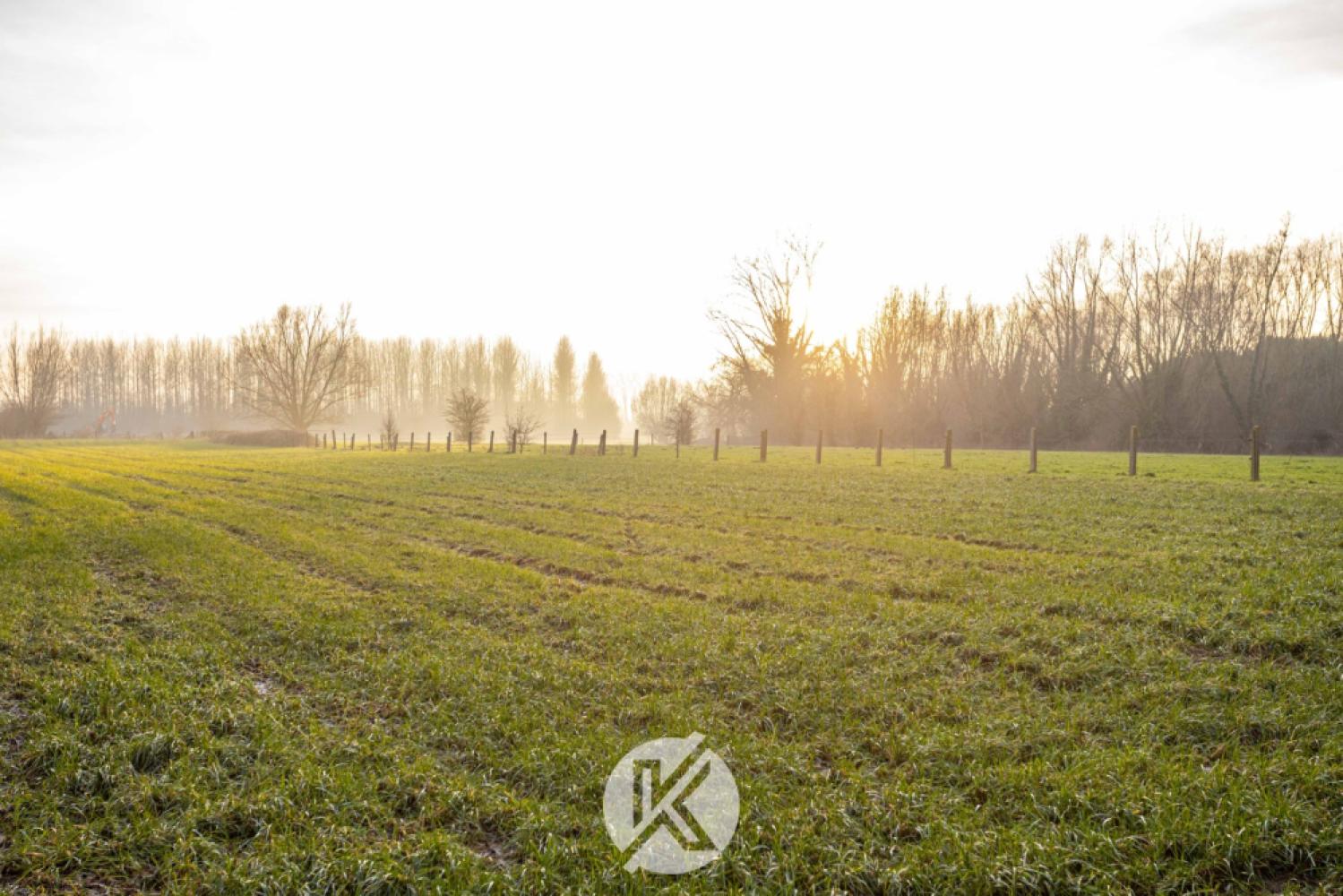 House for sale in Zottegem