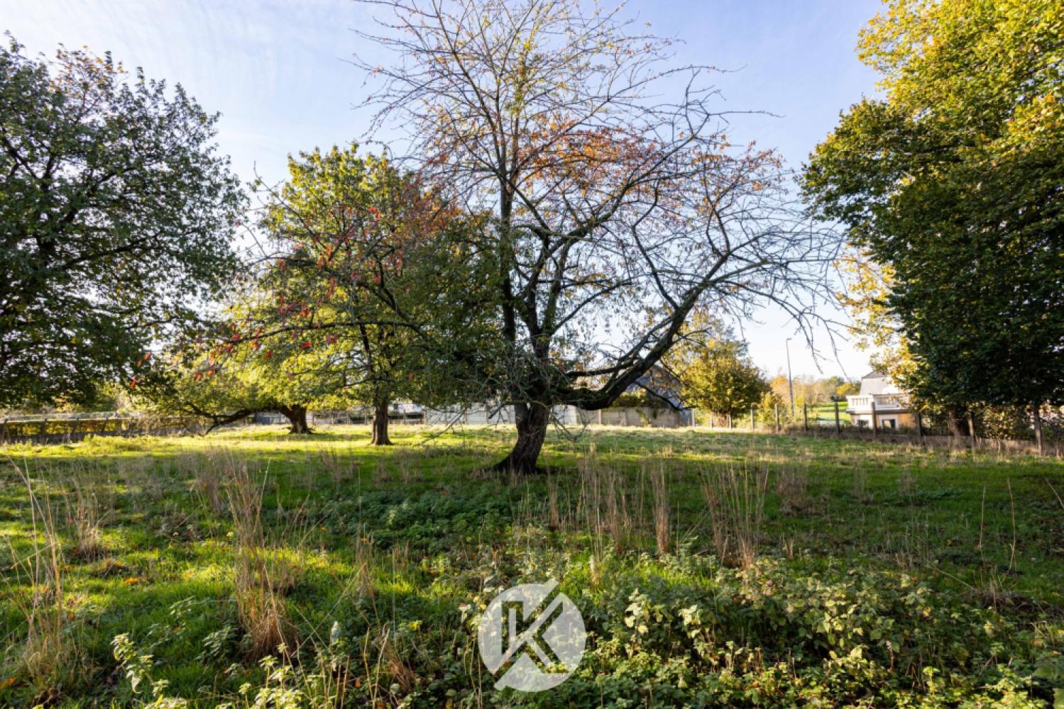 Huis te koop in Erondegem