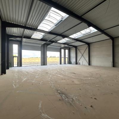 Warehouse for rent in Deinze