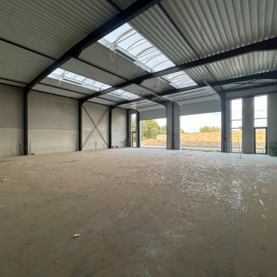 Warehouse for rent in Deinze