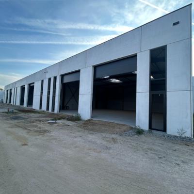 Warehouse for rent in Deinze