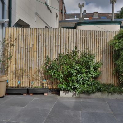 Maison à louer à Lebbeke