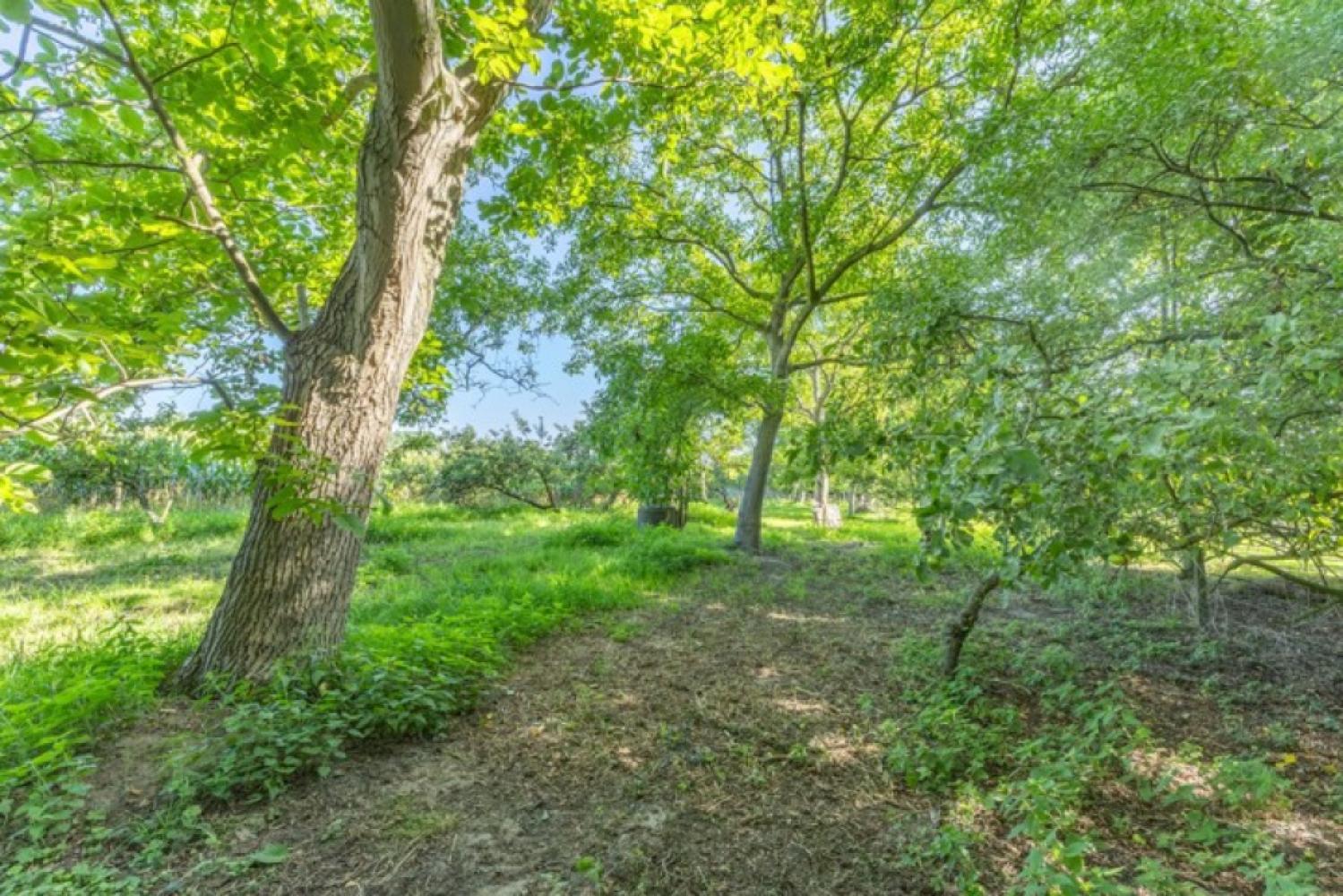 Villa for sale in Lebbeke