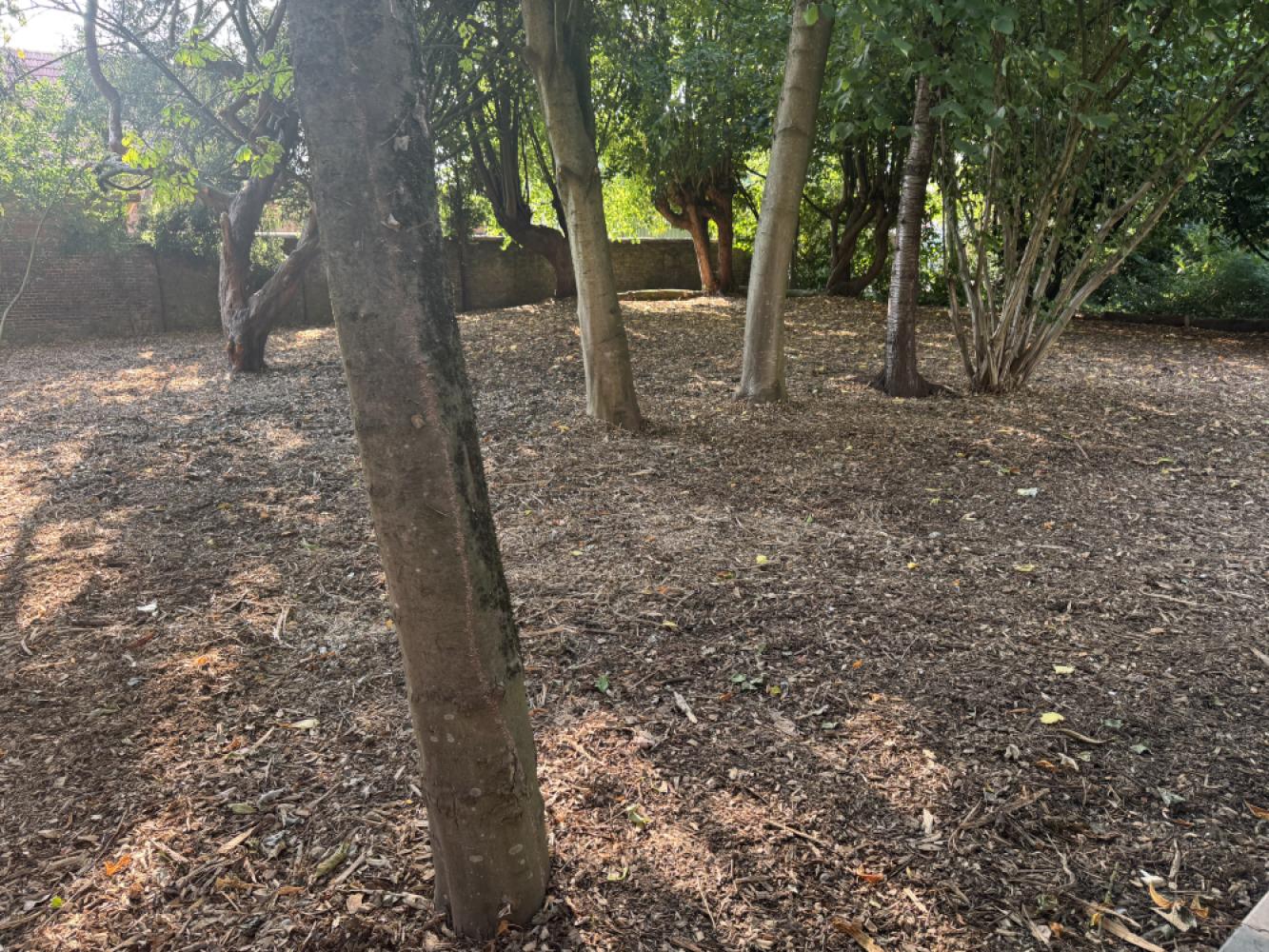 Appartement te koop in Sint-Gillis-Waas