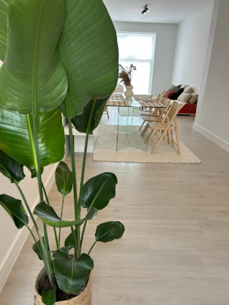 Maison à vendre à Izegem