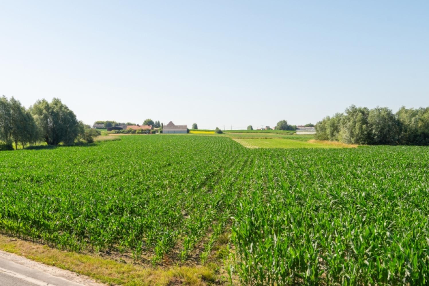 House for sale in Lendelede