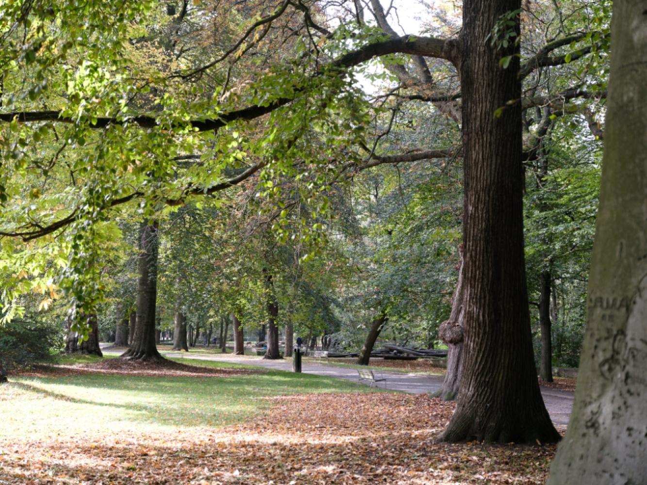 Appartement te koop in Gent