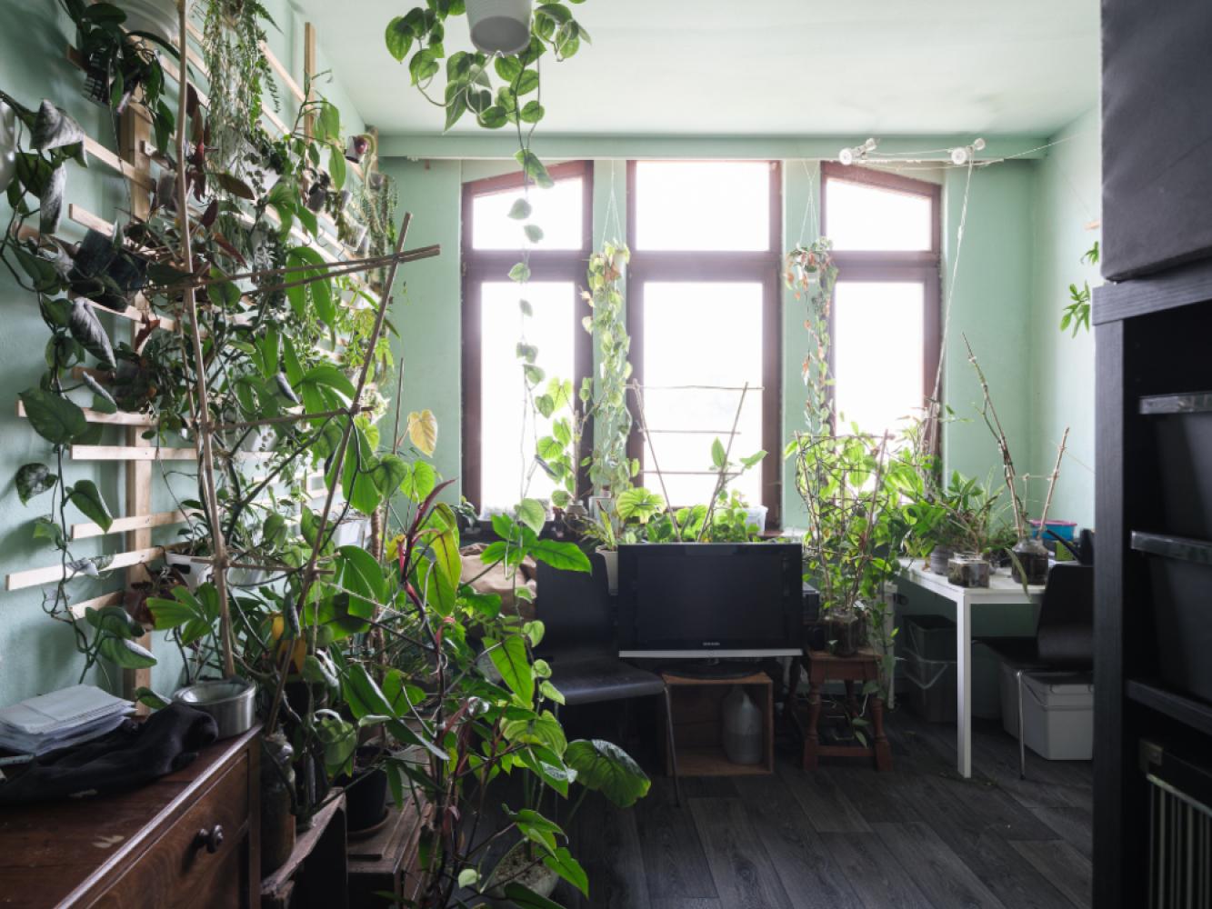 Apartment for sale in Sint-Amandsberg