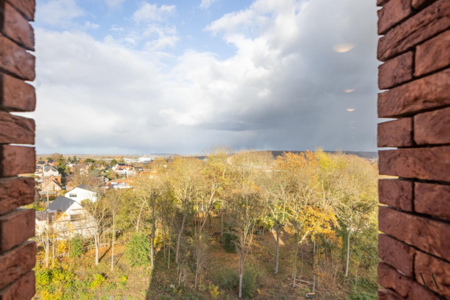 Opbrengsteigendom te koop in Leuven