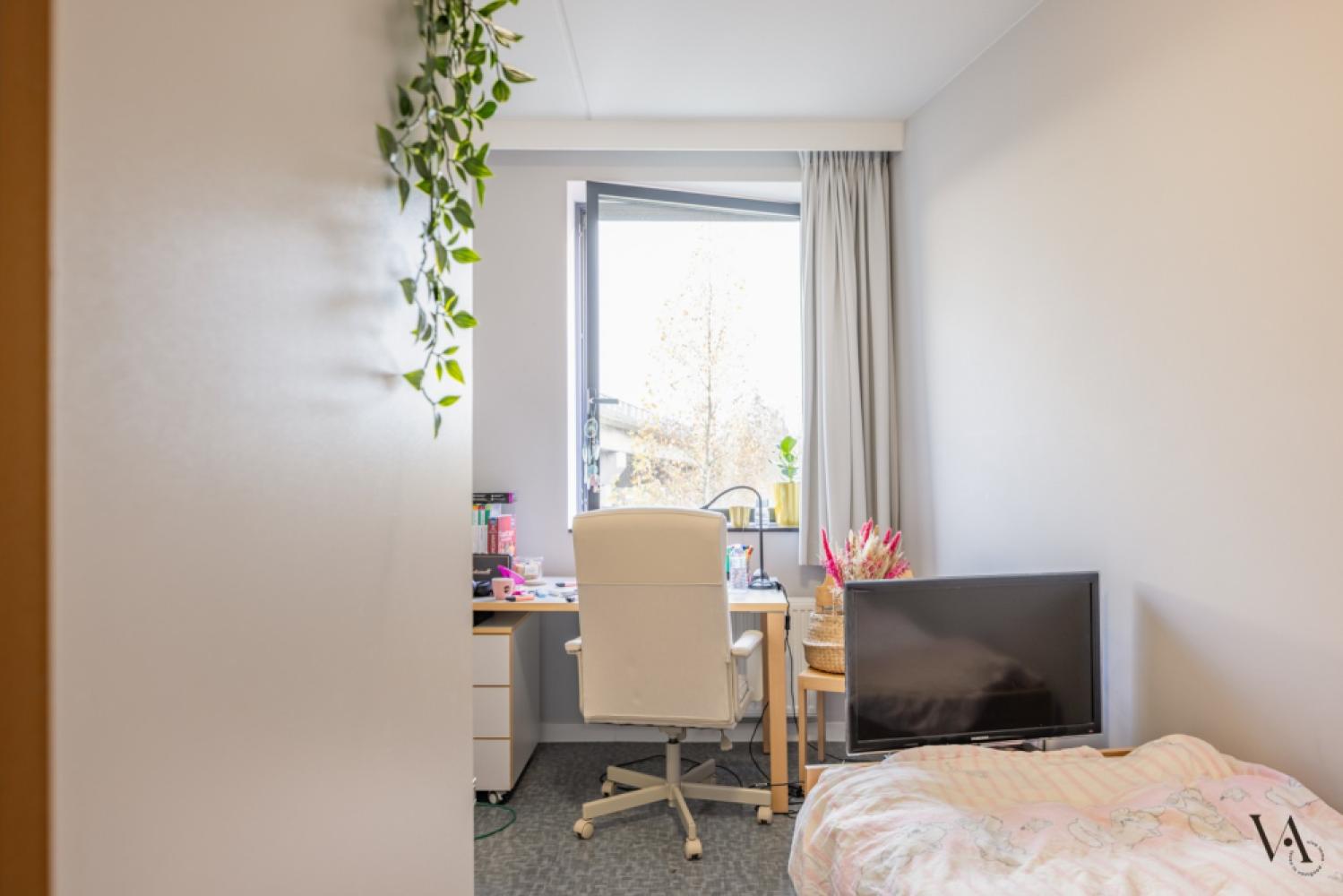 Opbrengsteigendom te koop in Leuven