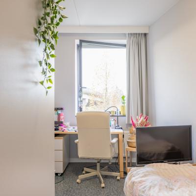 Opbrengsteigendom te koop in Leuven