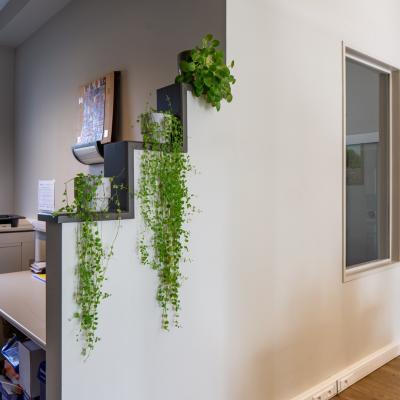 Bureau à louer à Leuven