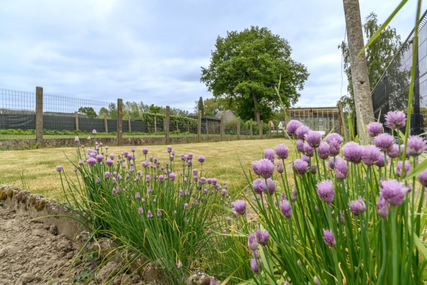 House for sale in Erpe-Mere