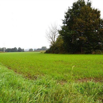 Terrain à bâtir à vendre à Avelgem
